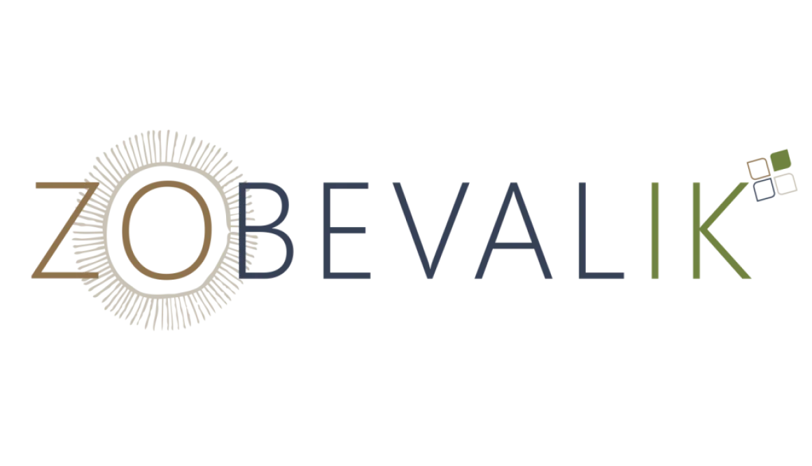 Logo ZO BEVAL IK.png